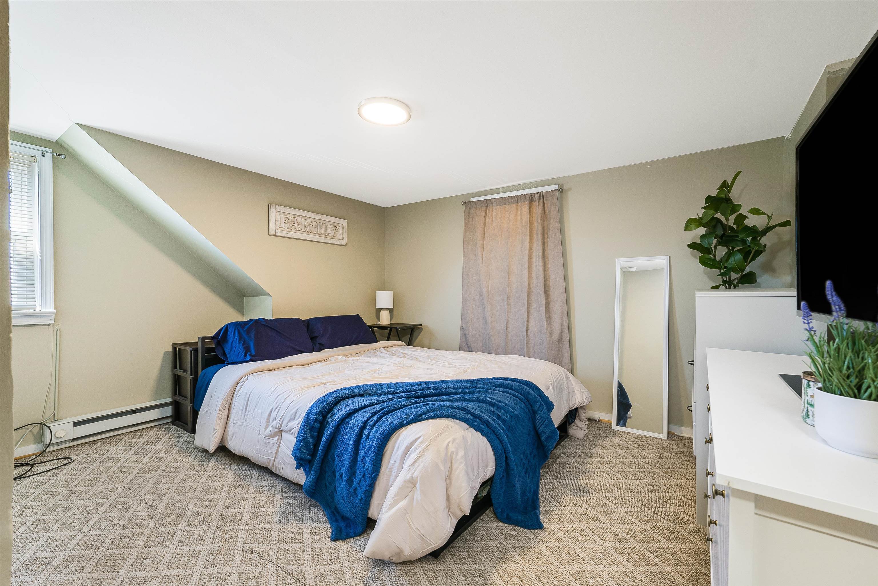 806 Randolph Street Staunton, VA 24401 - Photo 15 of 25 a bedroom with a bed and a potted plant
