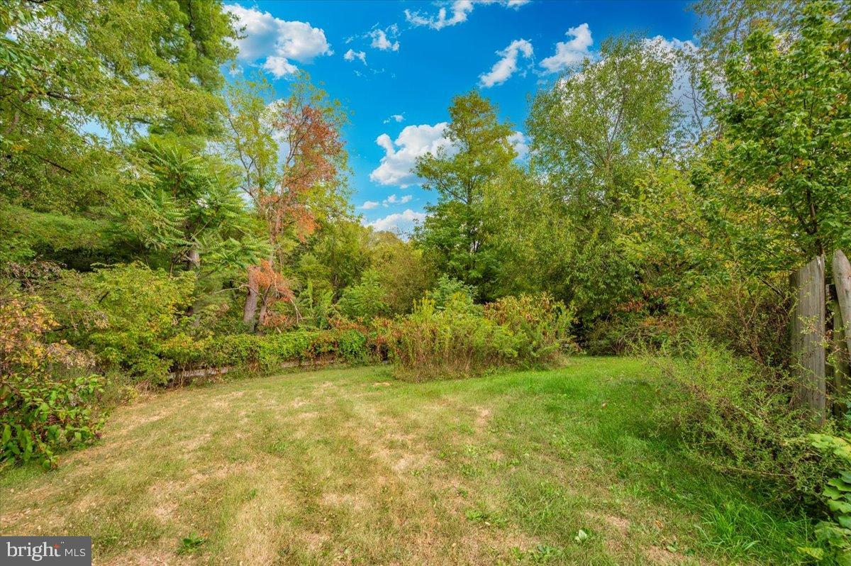 2710 Monument Road Myersville, MD 21773 - Photo 66 of 79 Lush greenery under a vibrant blue sky.