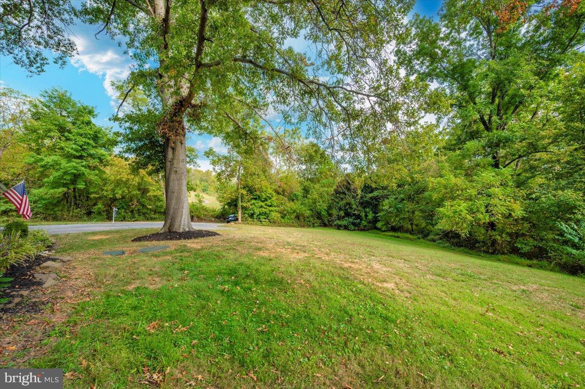 2710 Monument Road Myersville, MD 21773 - Photo 73 of 79 Serene green space with towering trees.