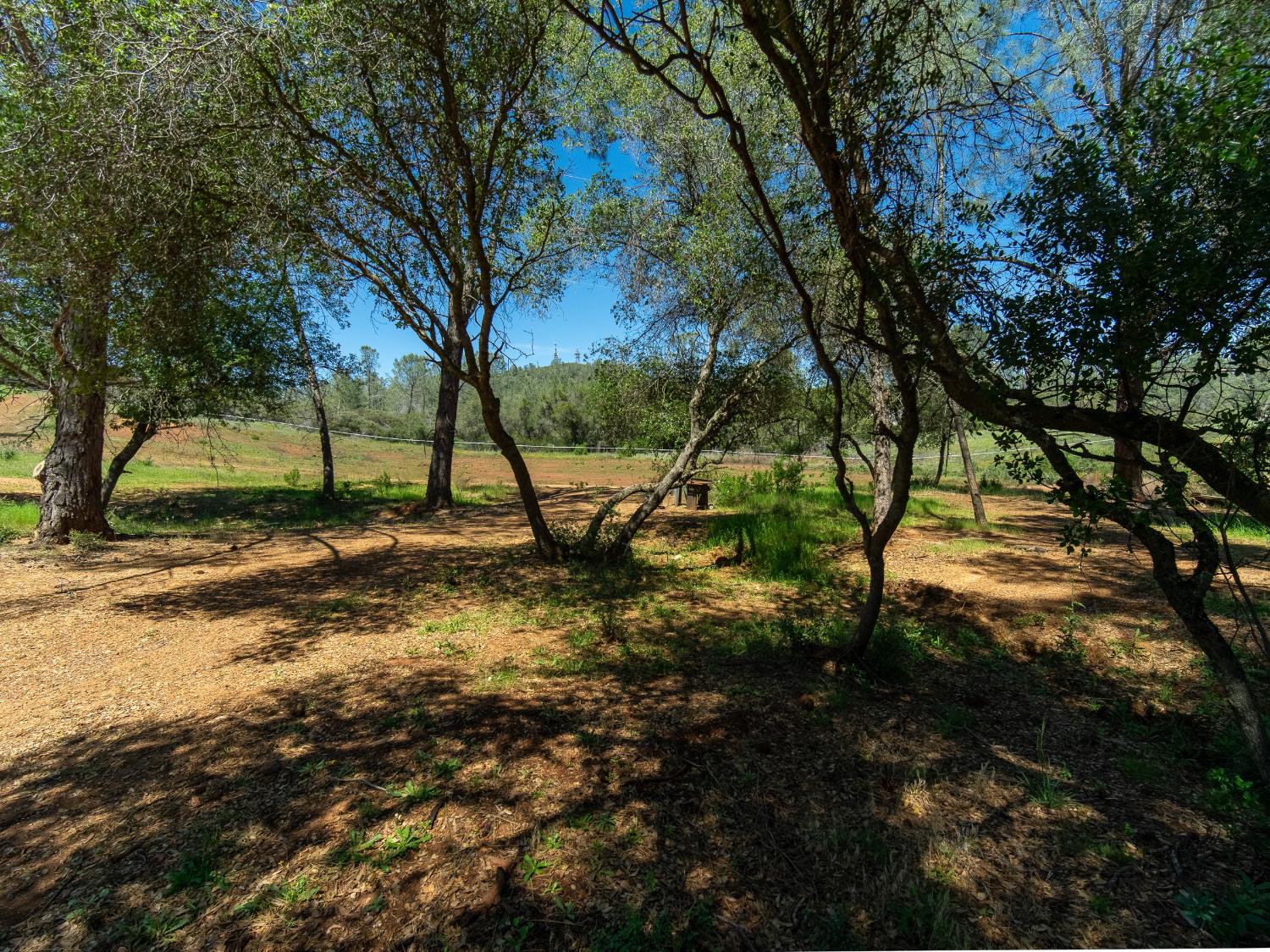 3924 Pine Cone Drive Rescue, CA 95672 - Photo 13 of 51