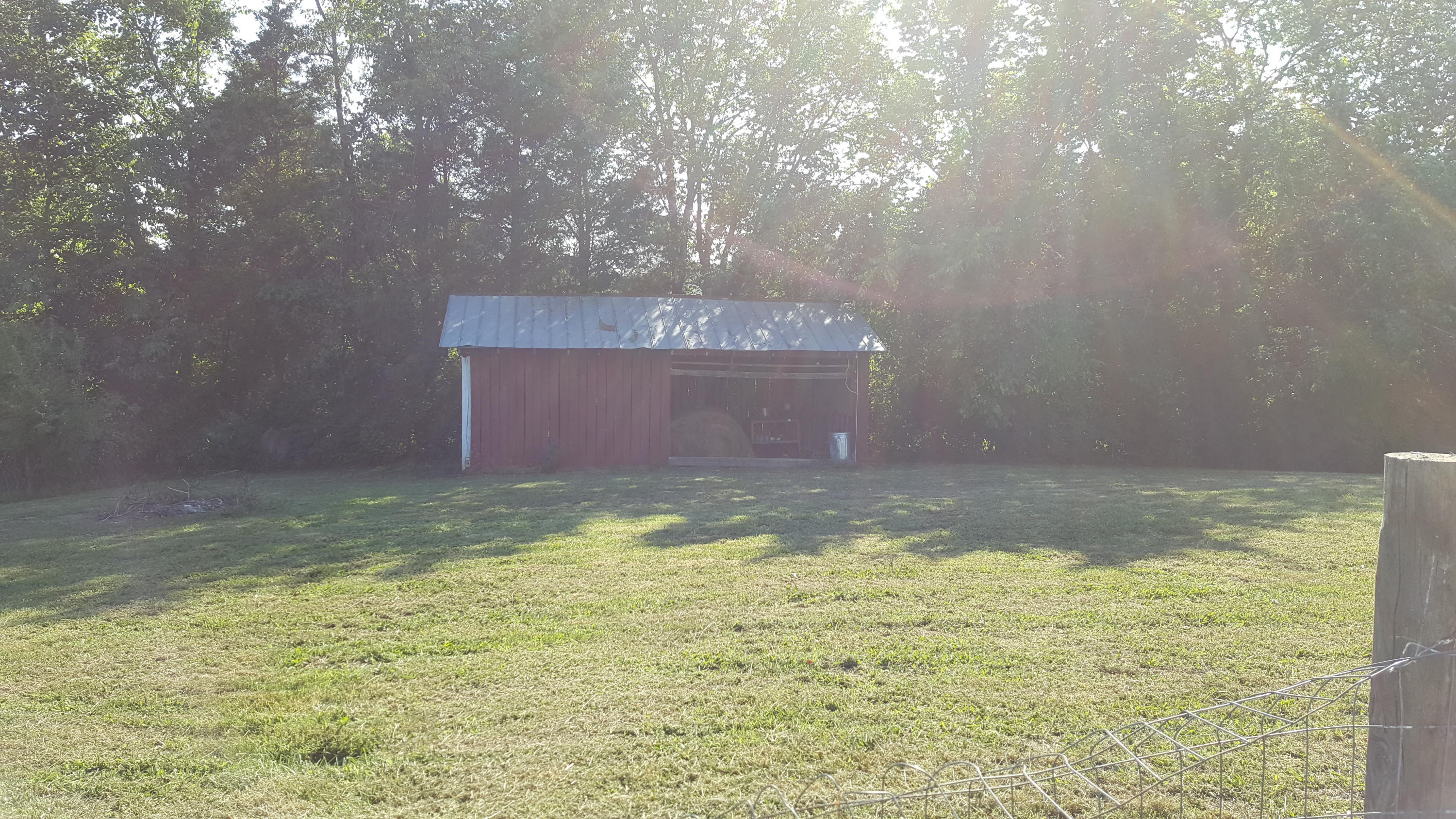 1040 Talbott-Kansas Road Talbott, TN 37877 - Photo 12 of 38 Outside - Barn - Shed