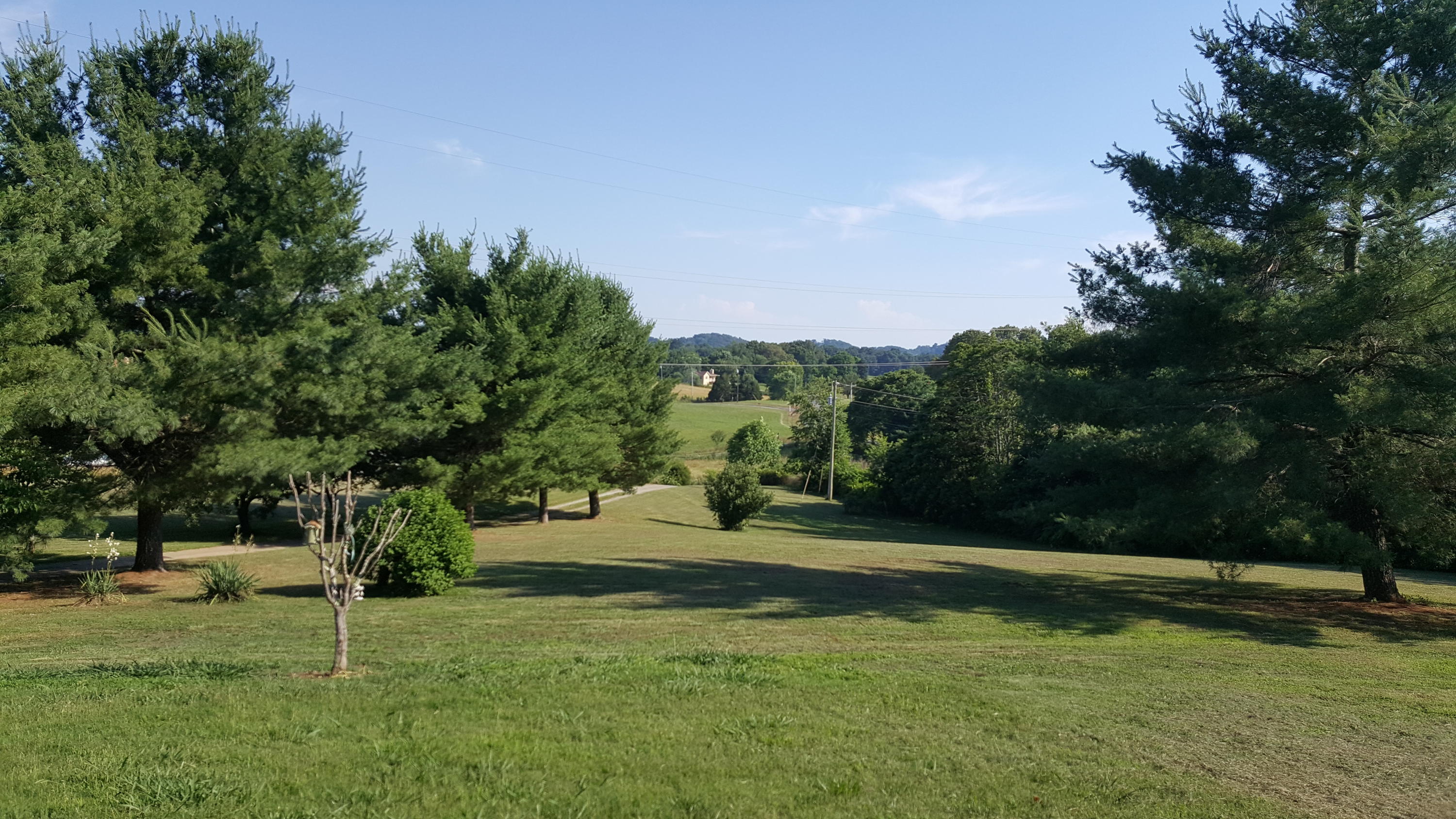 1040 Talbott-Kansas Road Talbott, TN 37877 - Photo 26 of 38 Land - from Porch 3