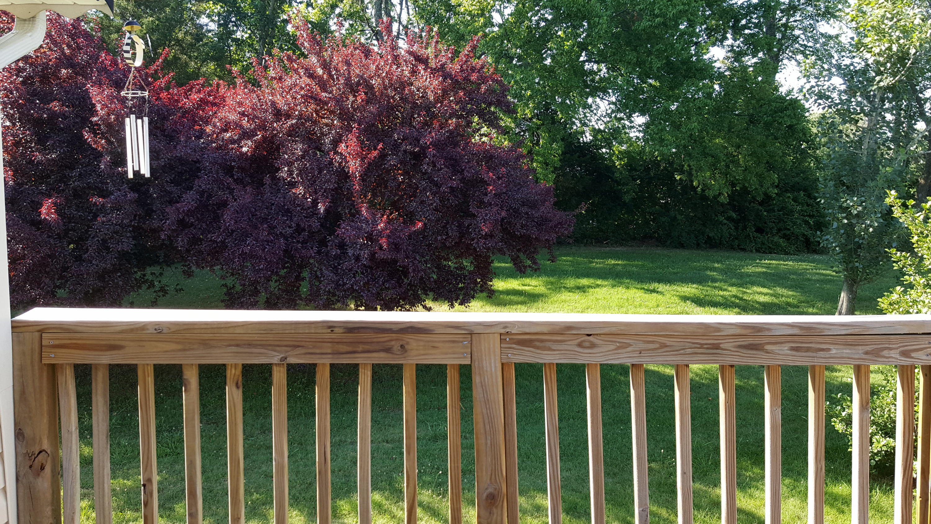 1040 Talbott-Kansas Road Talbott, TN 37877 - Photo 28 of 38 Land - View off Back Deck