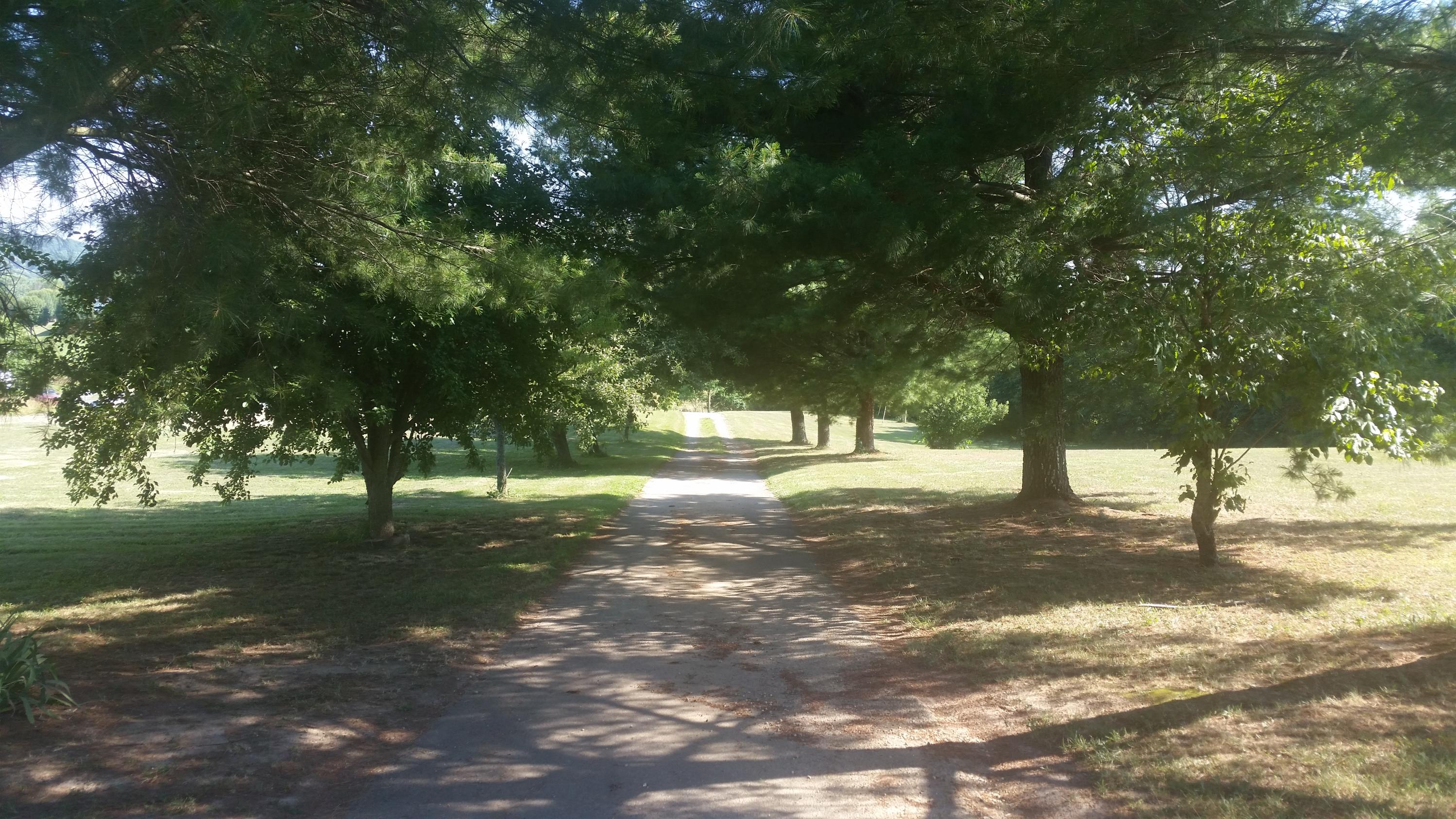 1040 Talbott-Kansas Road Talbott, TN 37877 - Photo 6 of 38 Land - Down Driveway