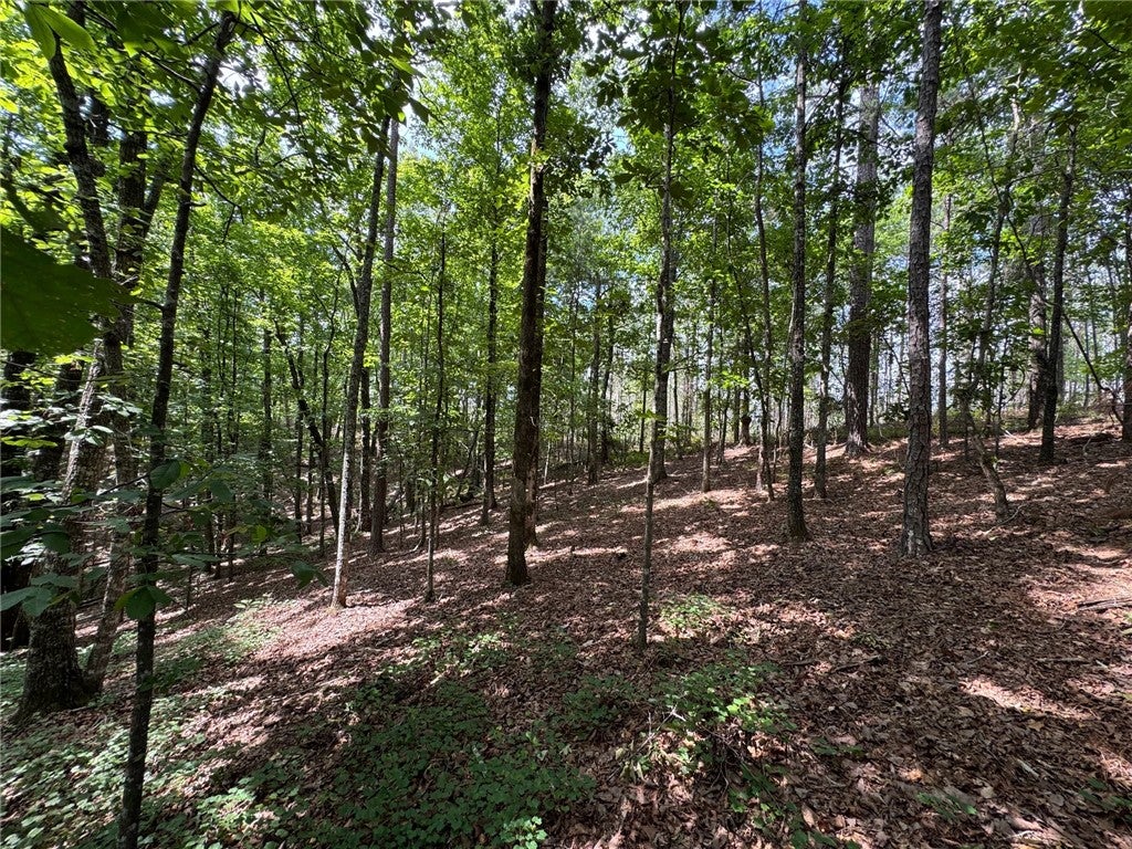 0 Parker Island Road Equality, AL 36026 - Photo 11 of 15 Gallery Image 11