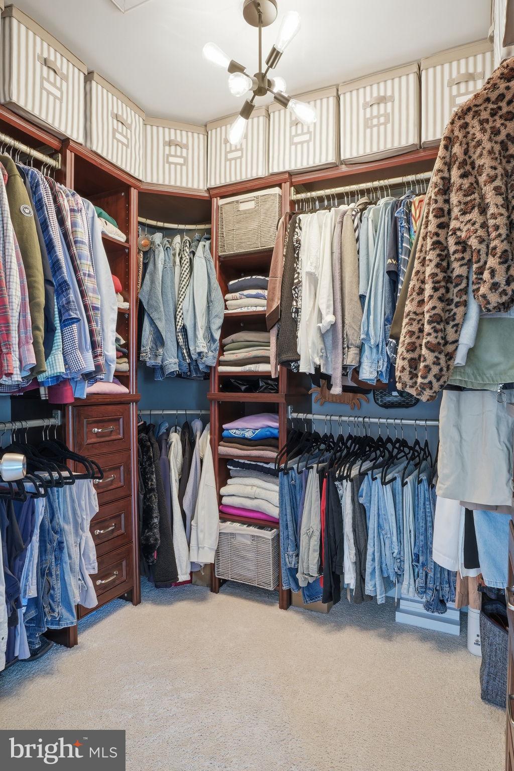 126 Admirals Ridge Drive Arnold, MD 21012 - Photo 21 of 58 a view of walk in closet with clothes and shoes