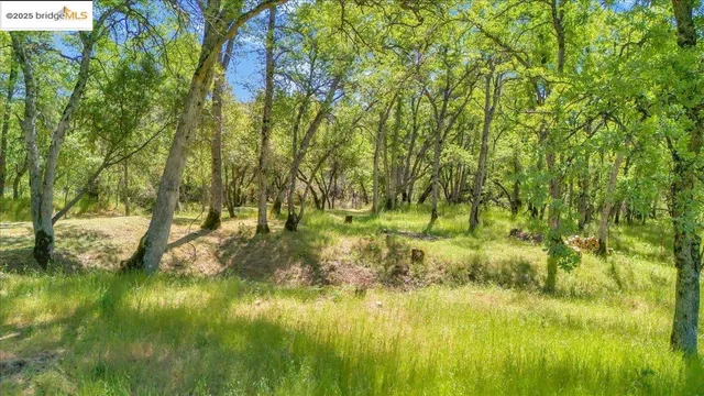 a view of swimming pool from a yard