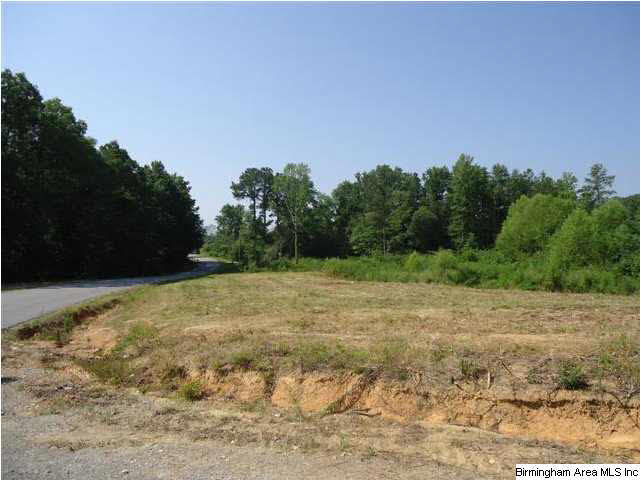 Mayo Road, Unit 96 Altoona, AL 35952 - Photo 12 of 23