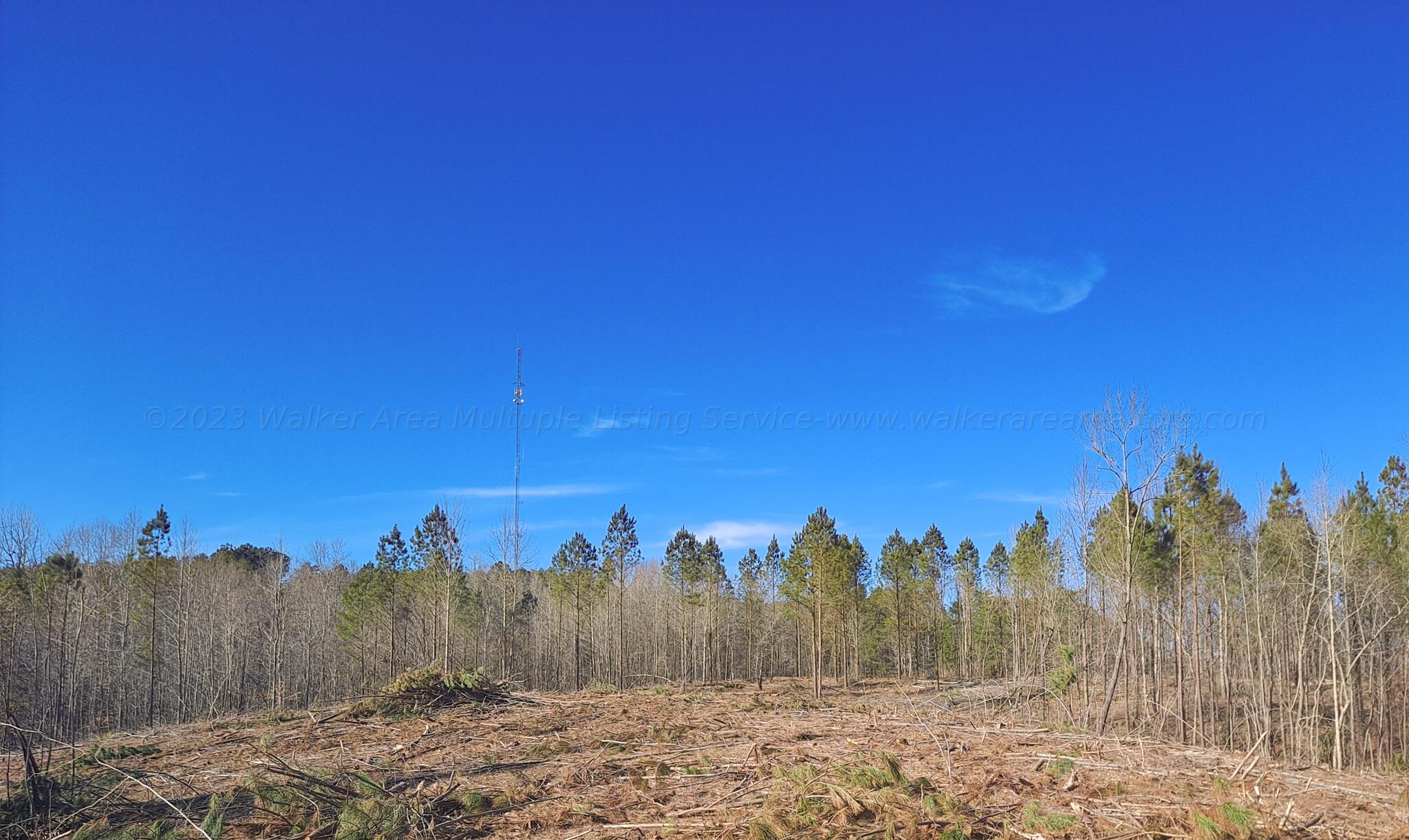 Old Tuscaloosa Road Jasper, AL 35501 - Photo 11 of 11 Gallery Image 11