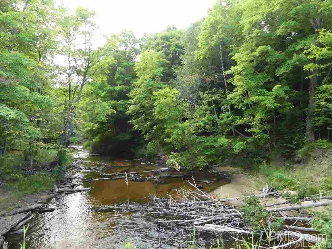 1 County Road 58 Road Grand Marais, MI 49839 - Photo 19 of 25 Gallery Image 19