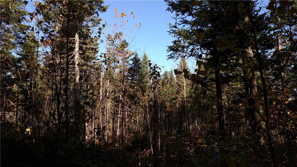 Lot 5 Potter Brook Road Winn, ME 04495 - Photo 4 of 5 Photo