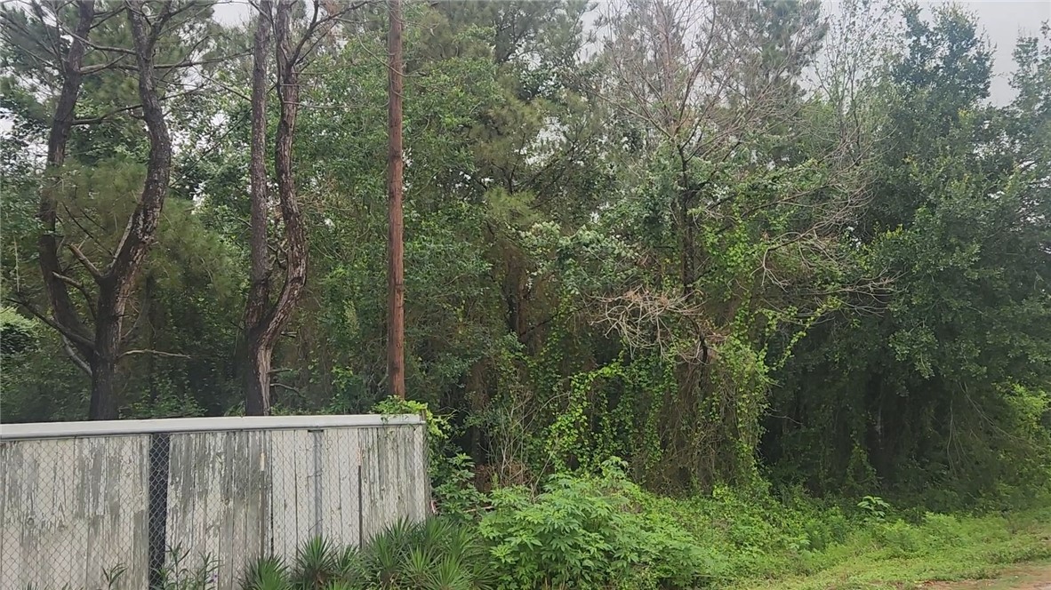 Lot 61 Greenfield Road Hempstead, TX 77445 - Photo 2 of 17 a view of a forest