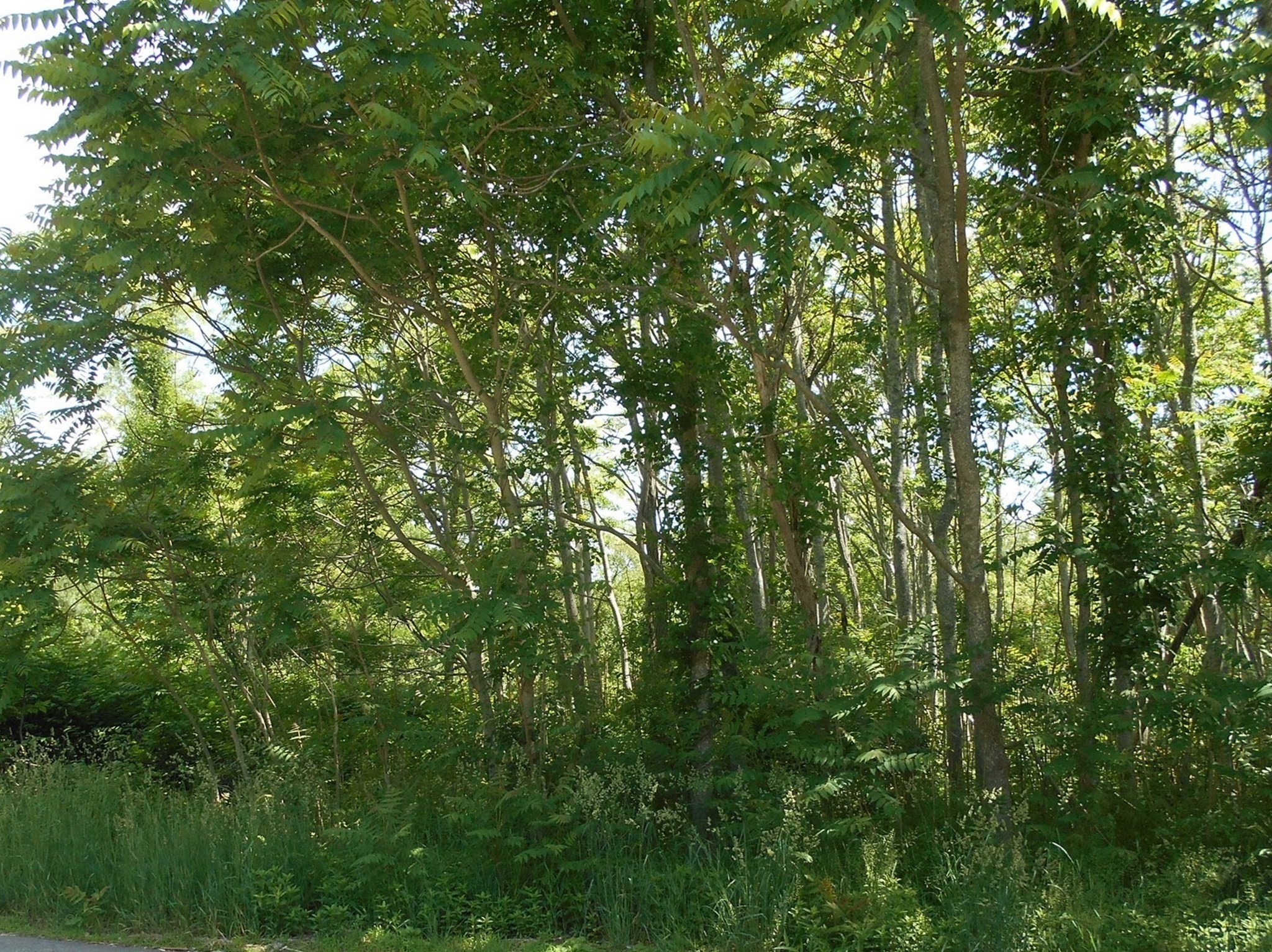 21 Papermill Road Wareham, MA 02576 - Photo 1 of 3 Gallery Image 1