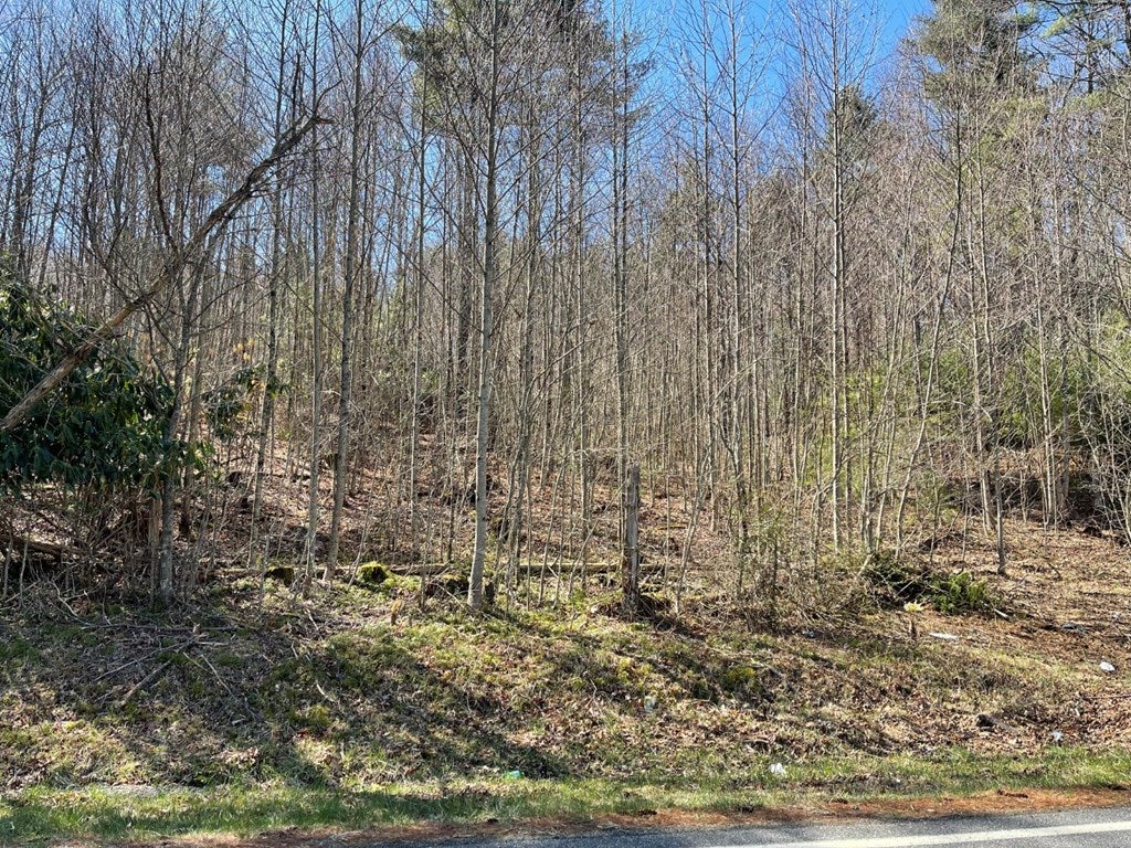 Tbd Chances Creek Road, Unit 4 Fancy Gap, VA 24328 - Photo 6 of 8 Gallery Image 6
