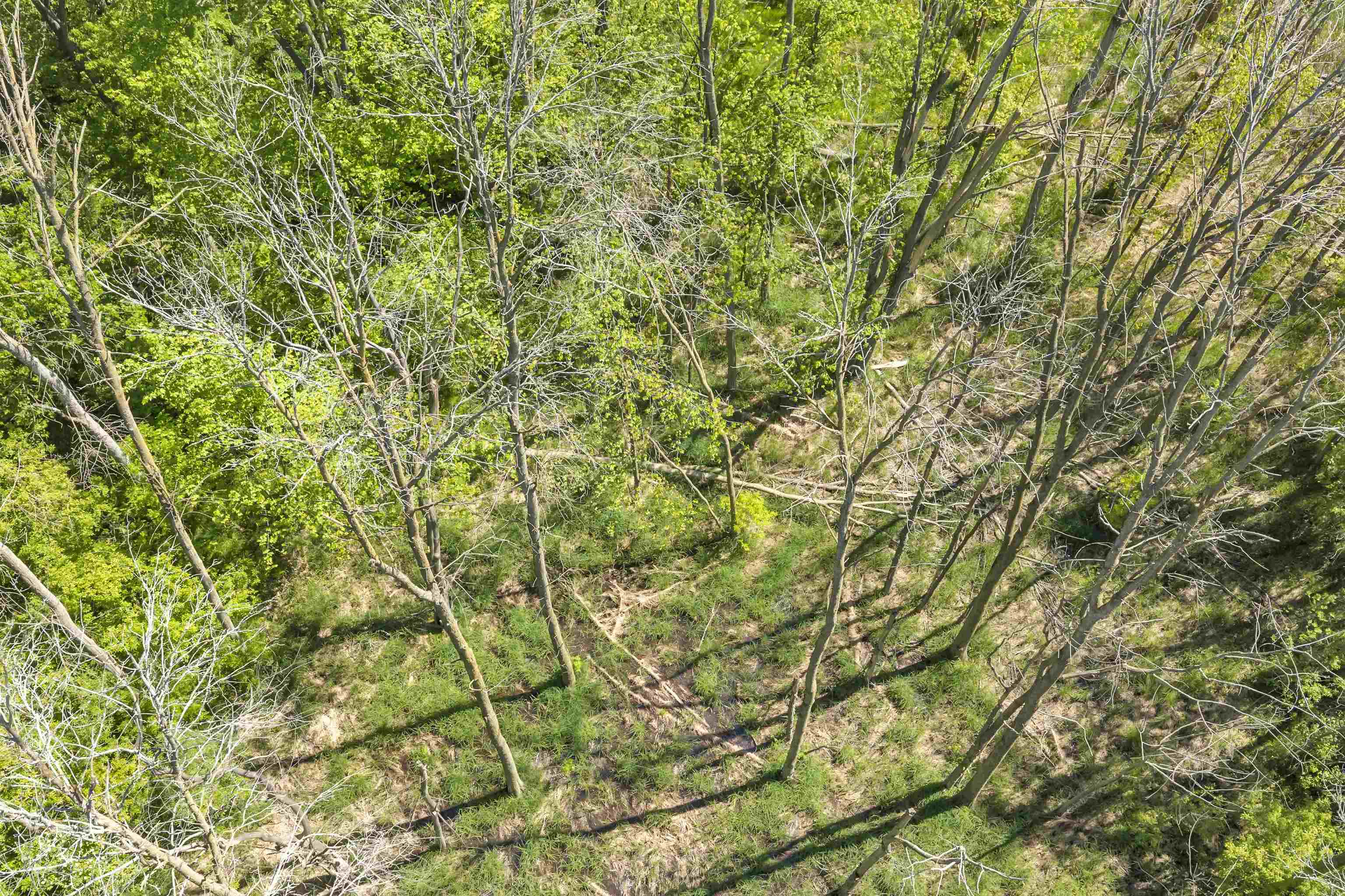 5397 Algoma Road New Franken, WI 54229 - Photo 57 of 59