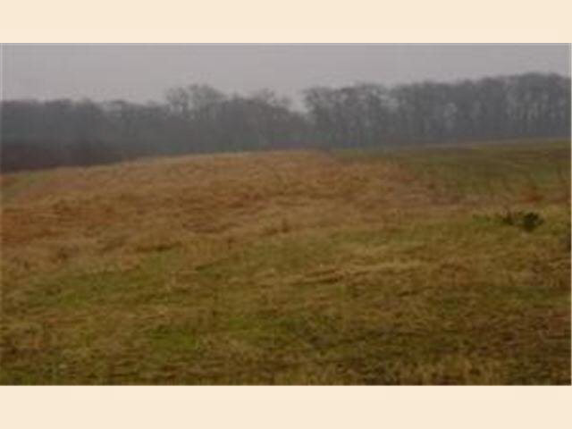 Xxx Orchard Road Spring Valley, MN 55990 - Photo 1 of 3