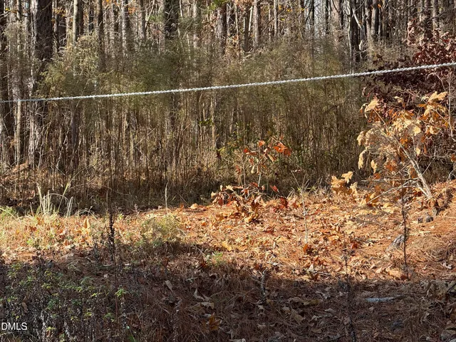 a view of a dry yard