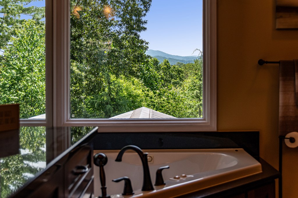 223 Mountain Tops Road Blue Ridge, GA 30513 - Photo 48 of 80 Gallery Image 48