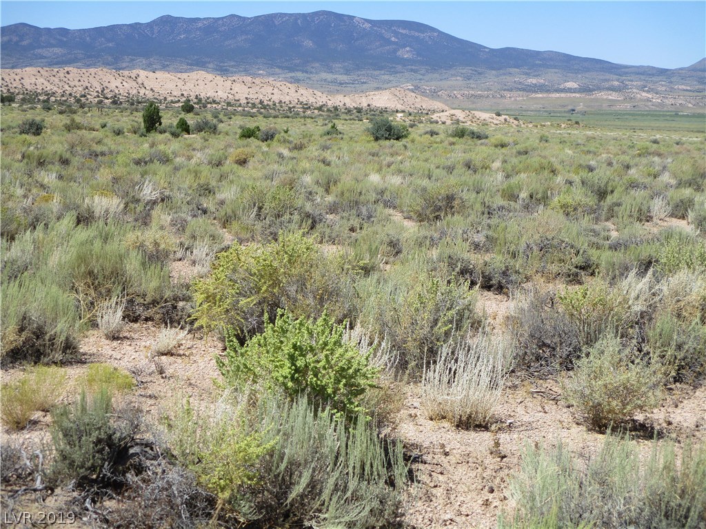 Whitewash Road Panaca, NV 89042 - Photo 4 of 11 Gallery Image 4