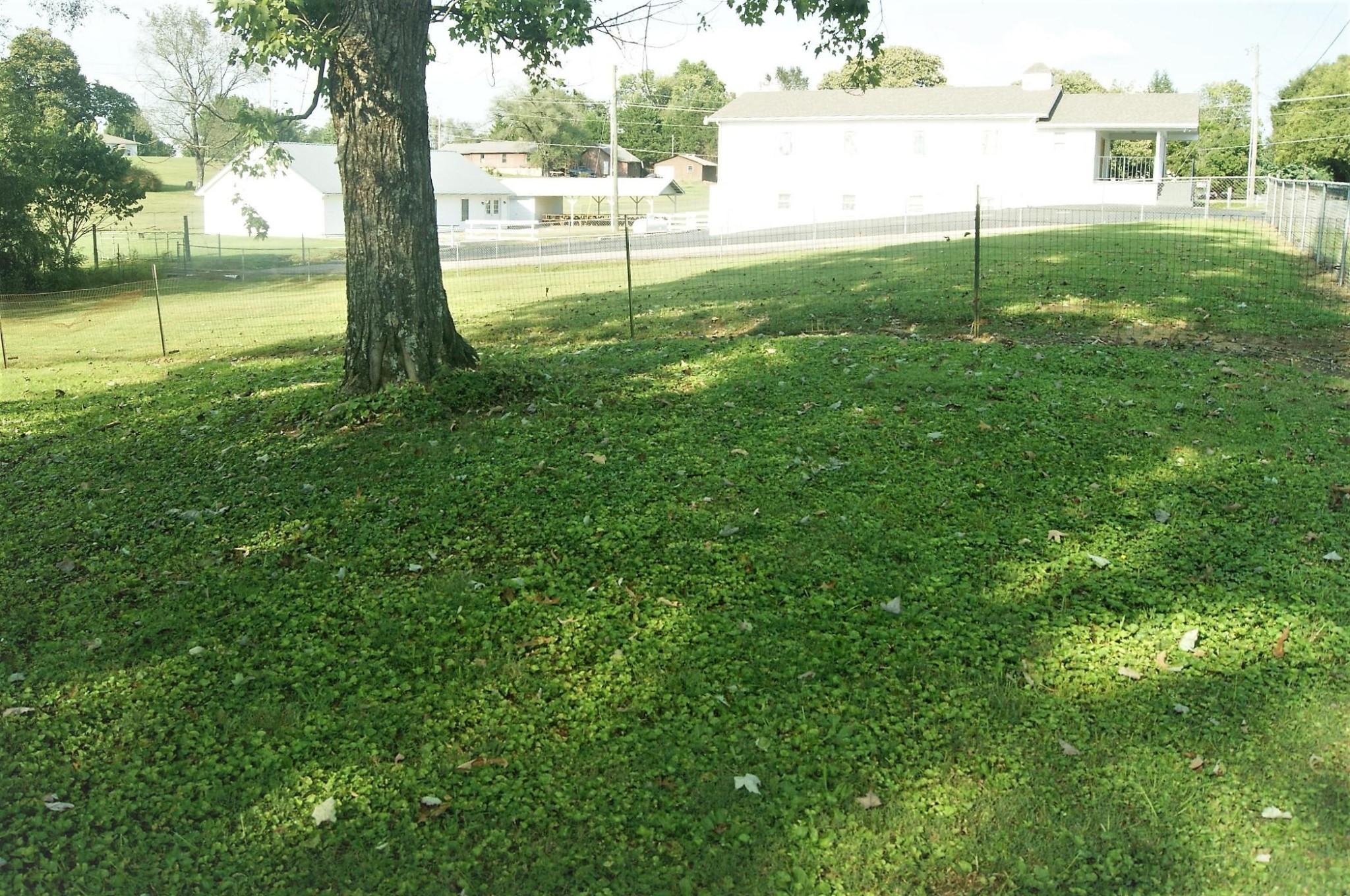 5552 Niles Ferry Road Greenback, TN 37742 - Photo 6 of 30 a view of a yard with a tree