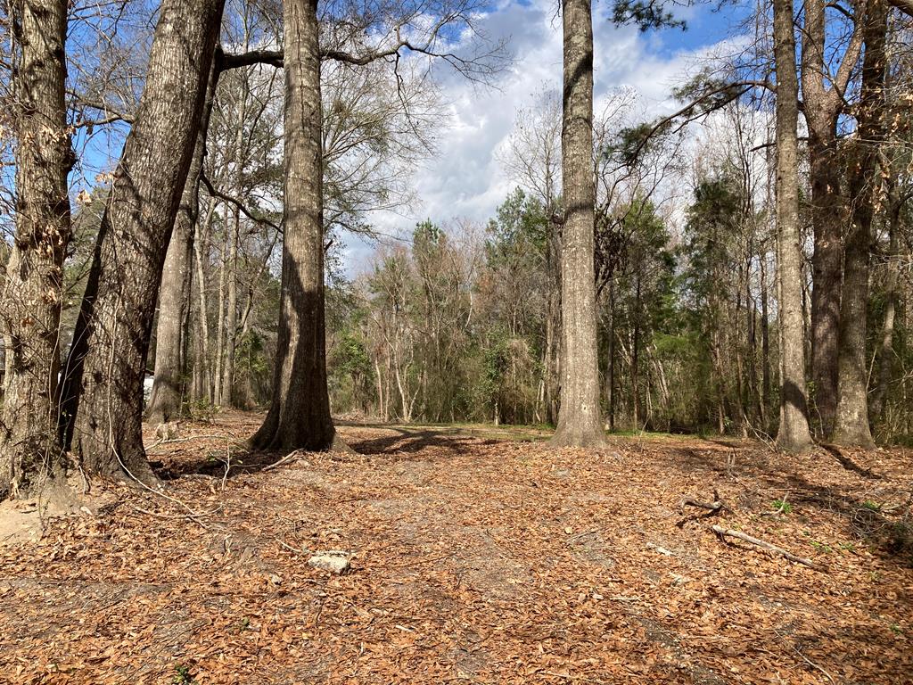 313 Ridge Road Castleberry, AL 36432 - Photo 30 of 35