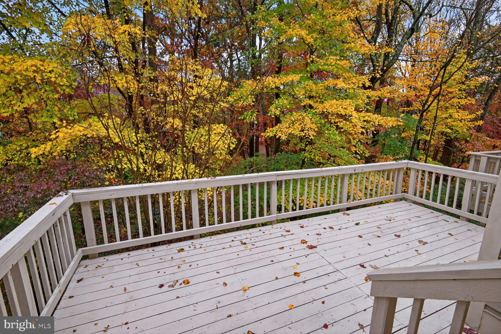 11405 Summer House Court Reston, VA 20194 - Photo 20 of 20 a view of wooden deck