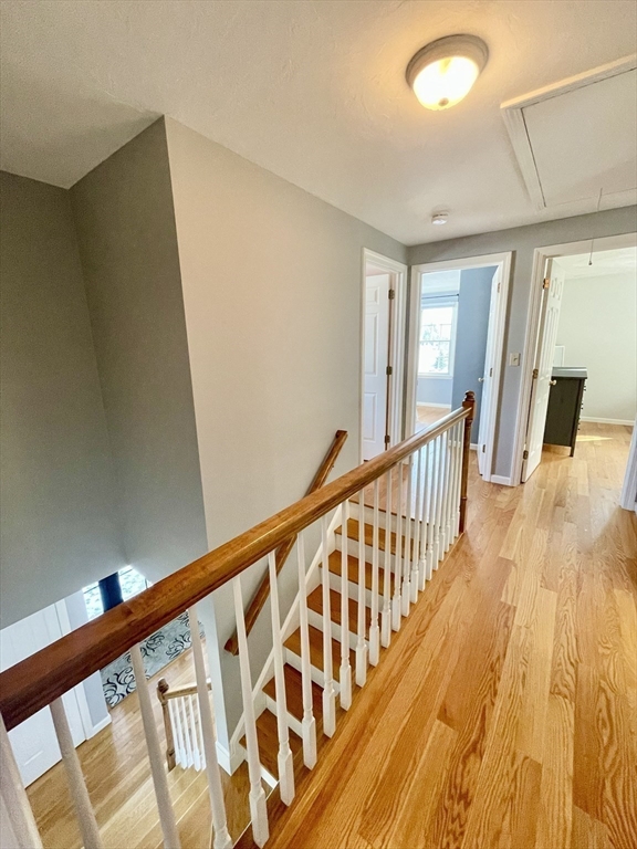 17 Red Mill Road Bridgewater, MA 02324 - Photo 15 of 42 Gallery Image 15