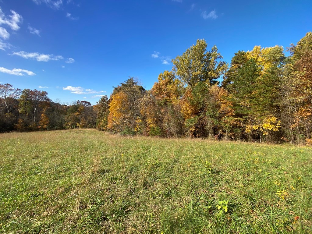 34 Thomas Cross Road Sevierville, TN 37876 - Photo 4 of 6
