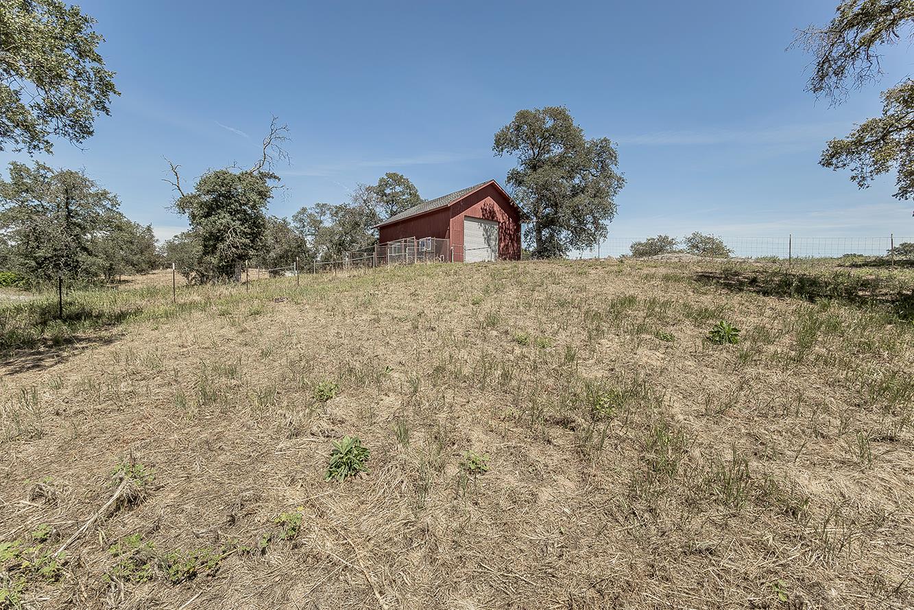 14815 Garlock Lane Prather, CA 93651 - Photo 56 of 80 a view of a dry yard with trees
