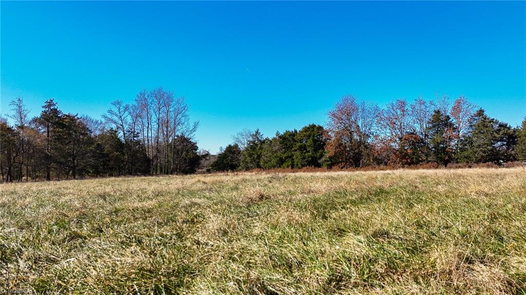 6670 Phillippi Road Liberty, NC 27298 - Photo 11 of 18