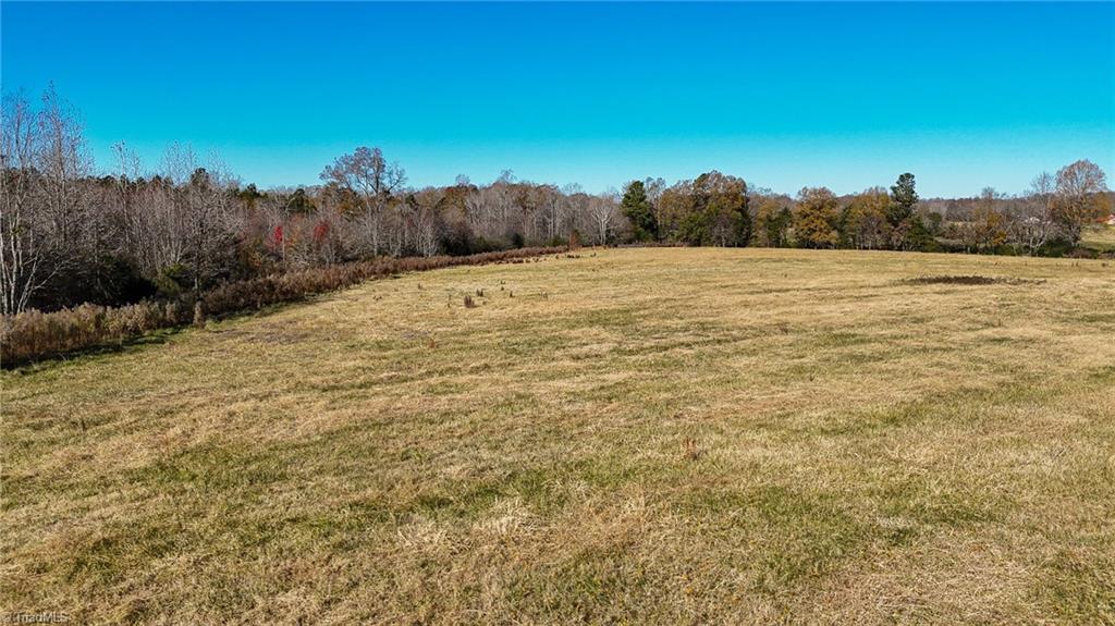 6670 Phillippi Road Liberty, NC 27298 - Photo 4 of 18