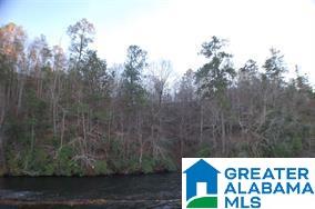 0 Bluff Road, Unit 1 Rockford, AL 35136 - Photo 14 of 18