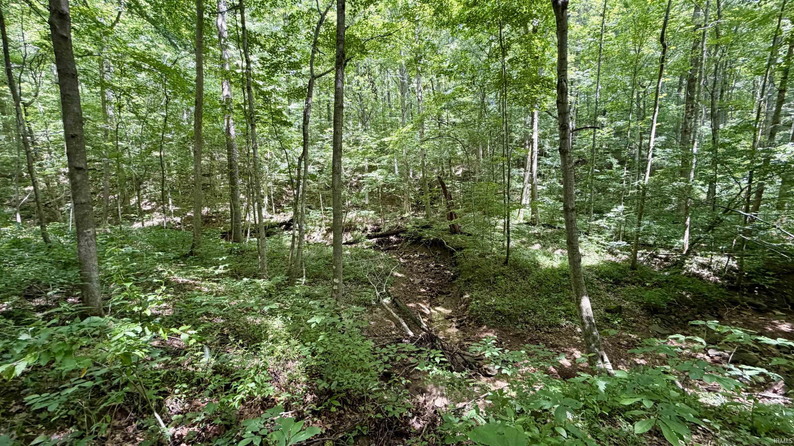 64 State Road English, IN 47118 - Photo 22 of 27