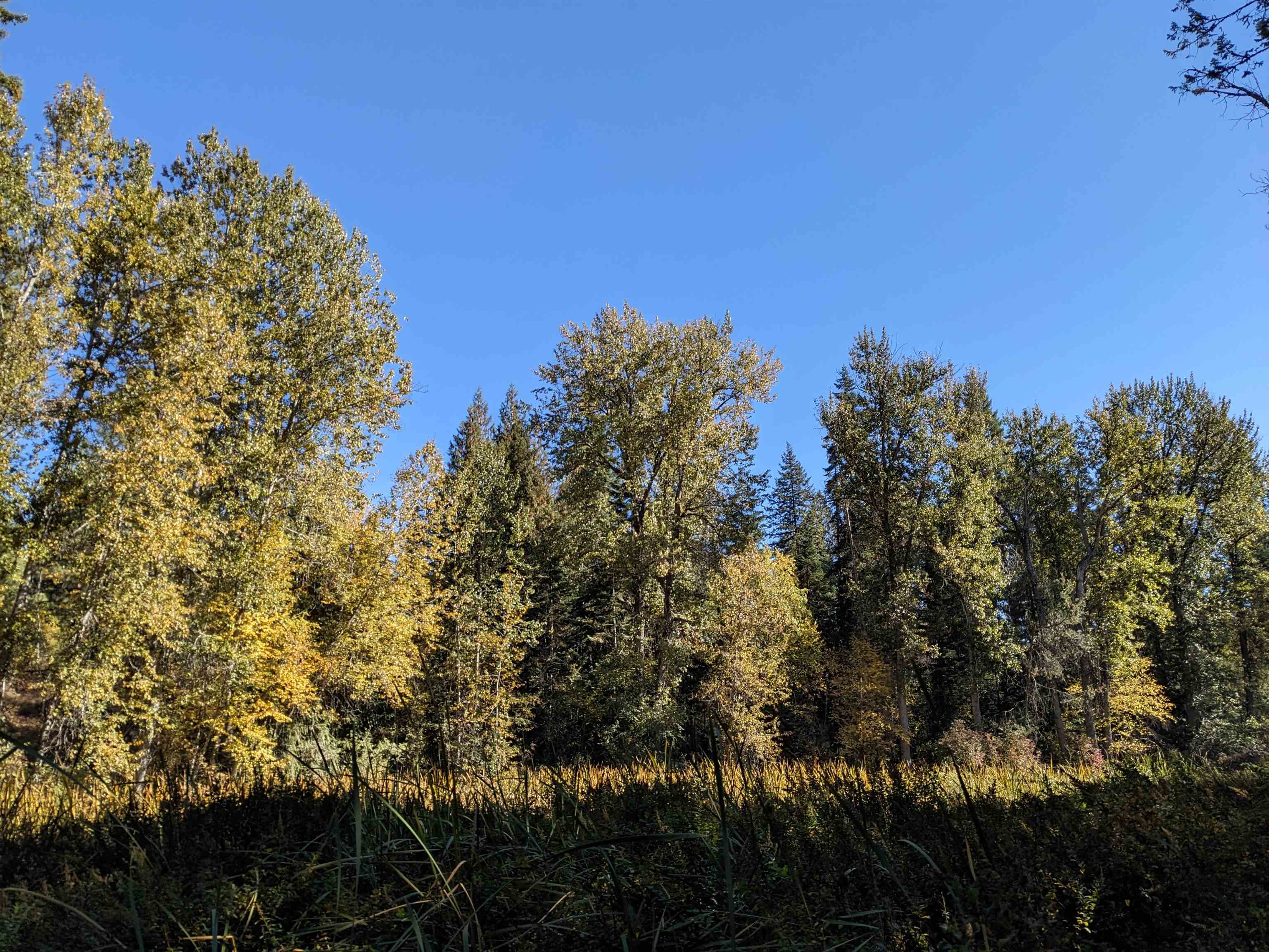 Nkn Lot 4 Nkn Road Newport, WA 99156 - Photo 15 of 17