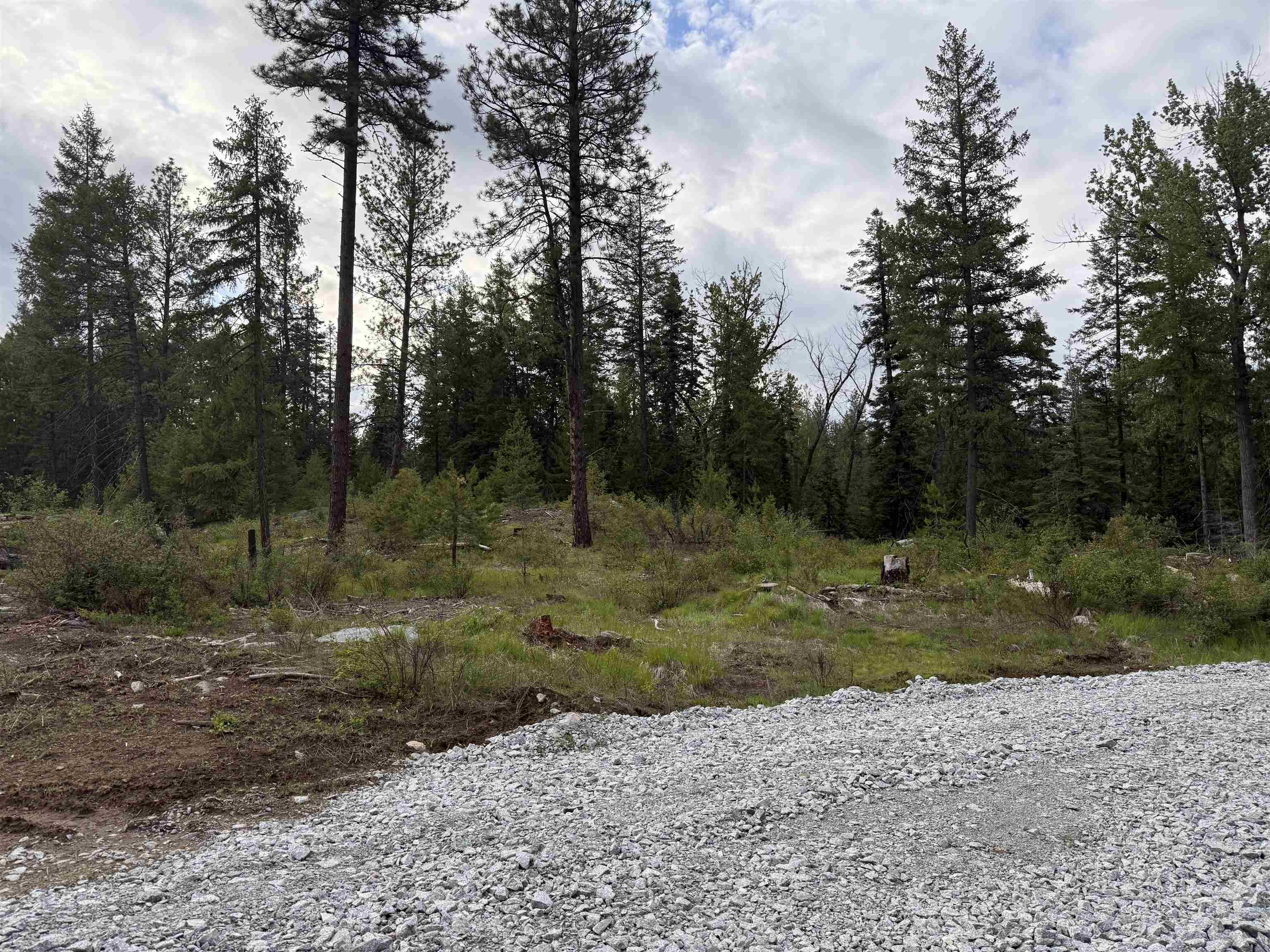 Nkn Lot 4 Nkn Road Newport, WA 99156 - Photo 2 of 17