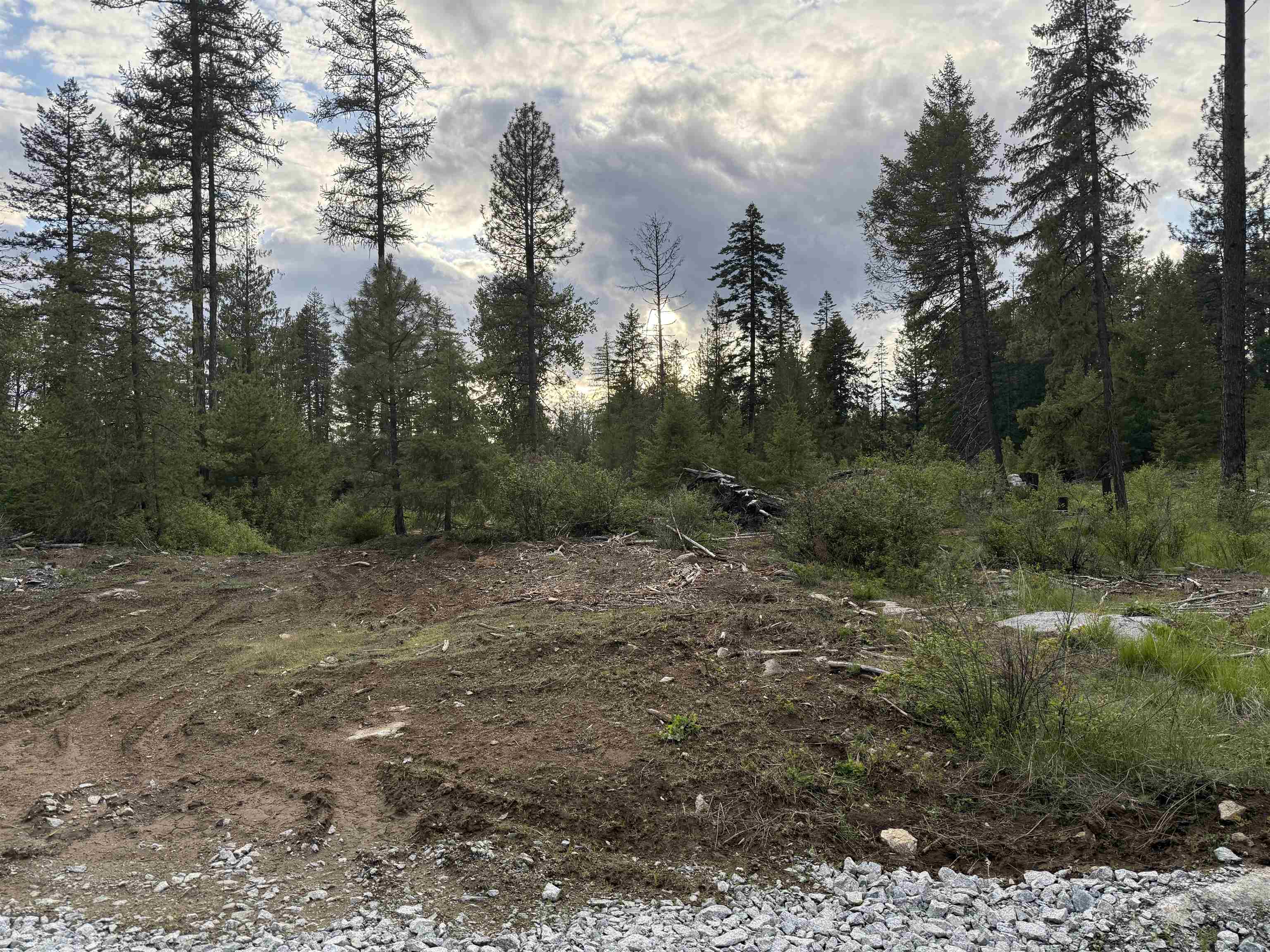 Nkn Lot 4 Nkn Road Newport, WA 99156 - Photo 3 of 17