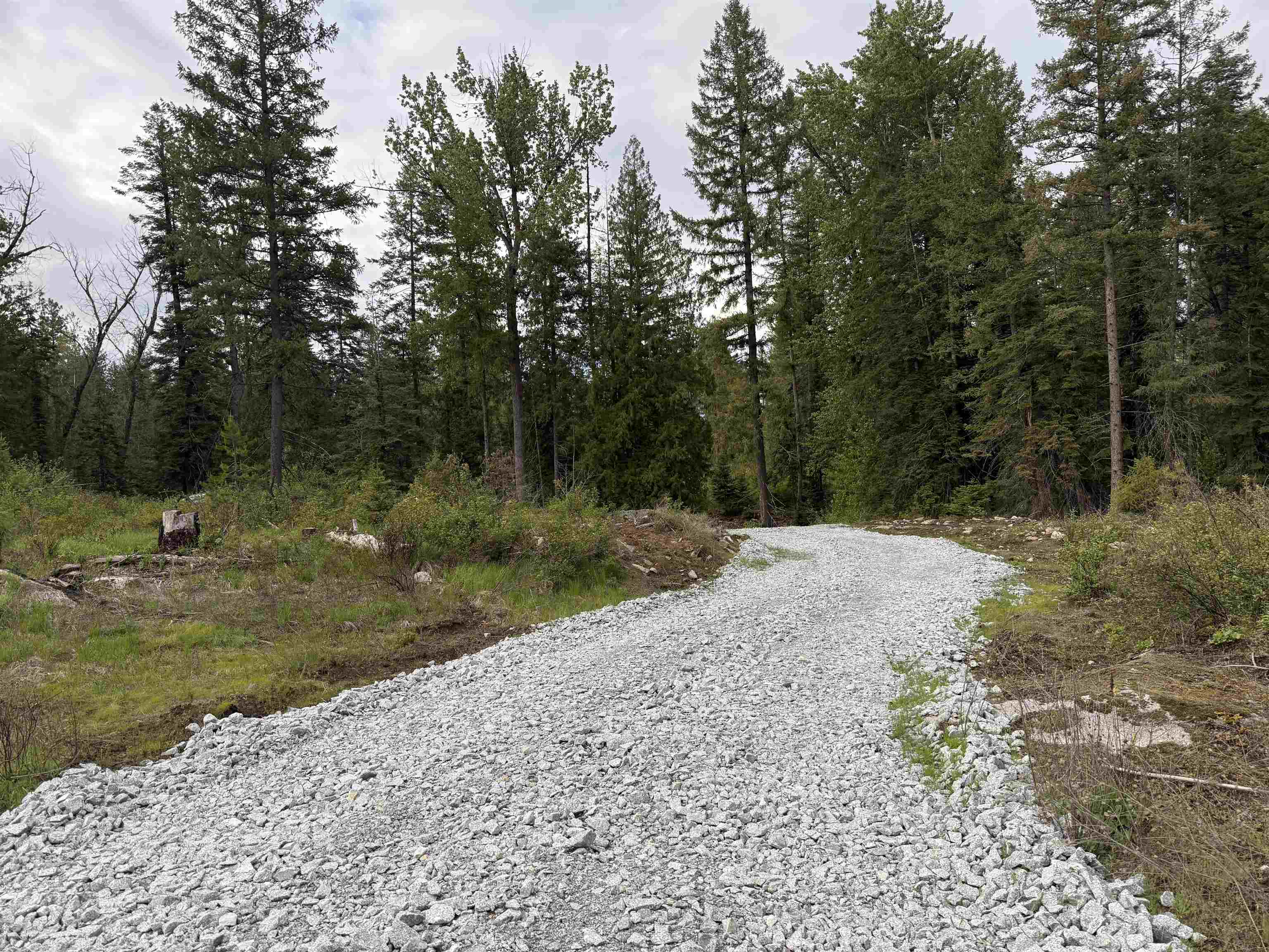 Nkn Lot 4 Nkn Road Newport, WA 99156 - Photo 4 of 17