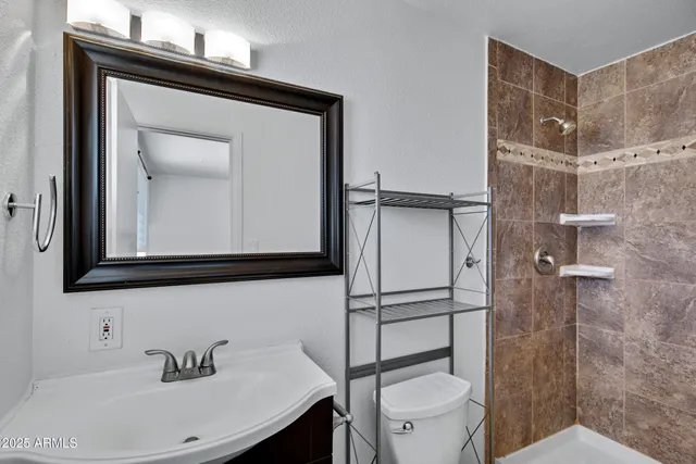 a bathroom with a sink a toilet and shower