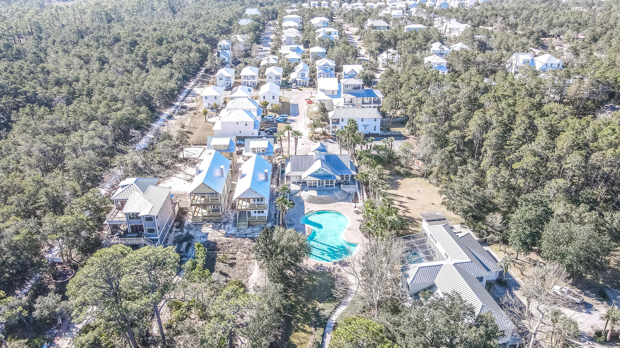 10 Inlet Cove Inlet Beach, FL 32461 - Photo 41 of 47 a city view with tall trees