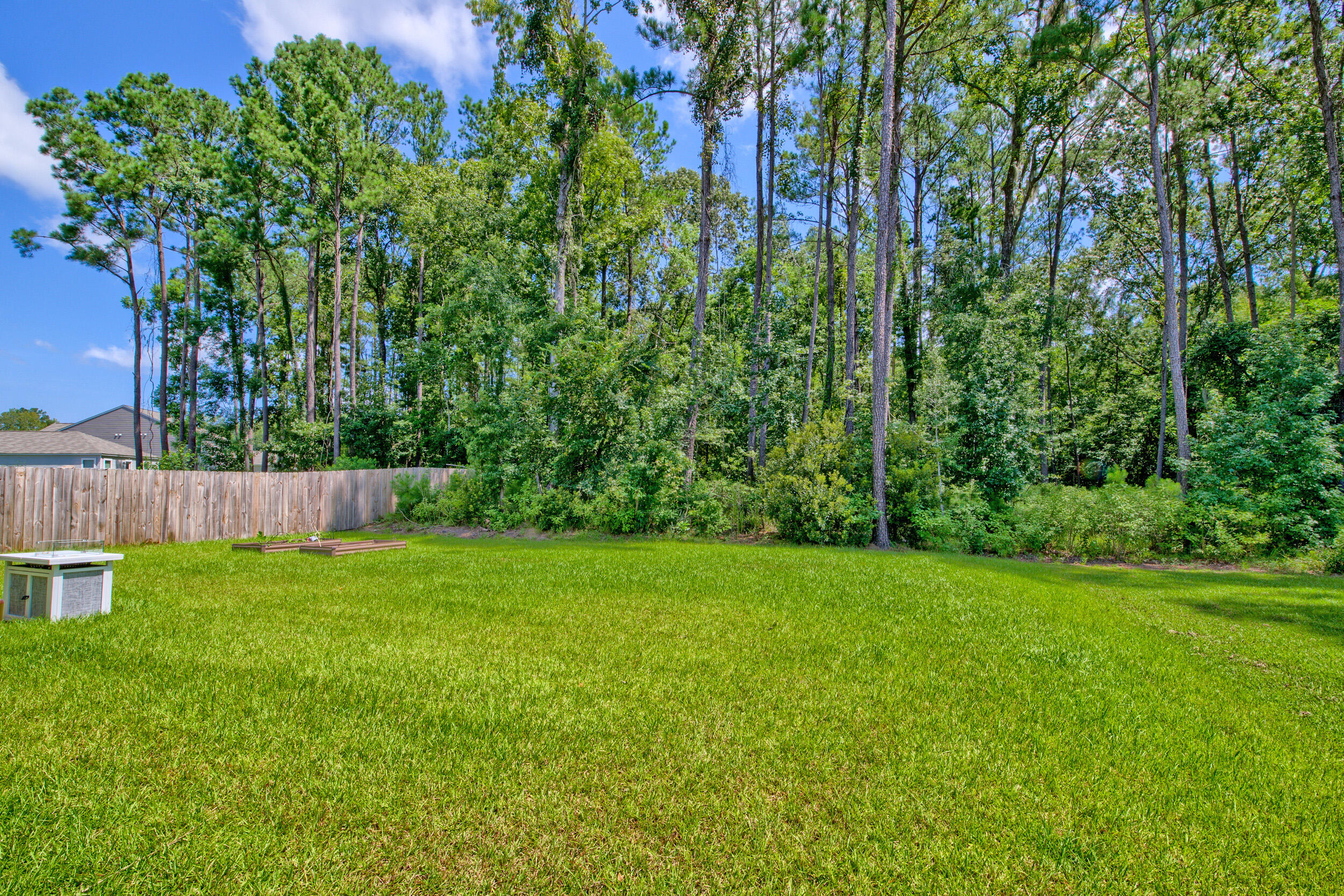 522 Shady Maple Street Moncks Corner, SC 29461 - Photo 41 of 44 _DSC2721-HDR(5)
