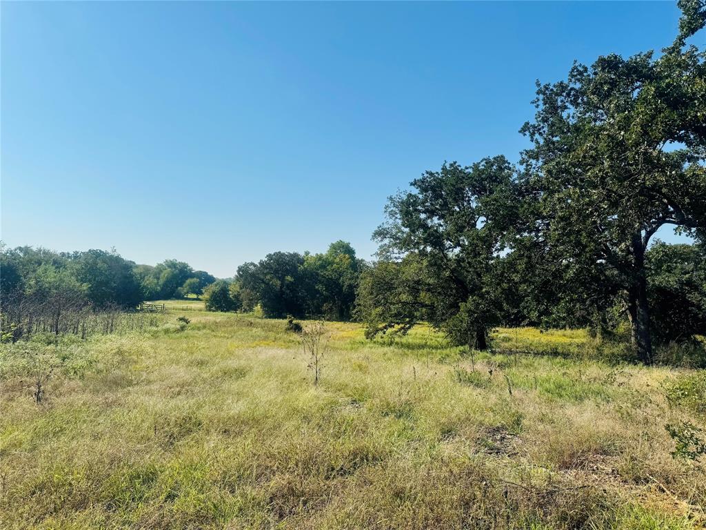 Tbd Copper Canyon Road Argyle, TX 76226 - Photo 4 of 13 a view of an outdoor space and yard