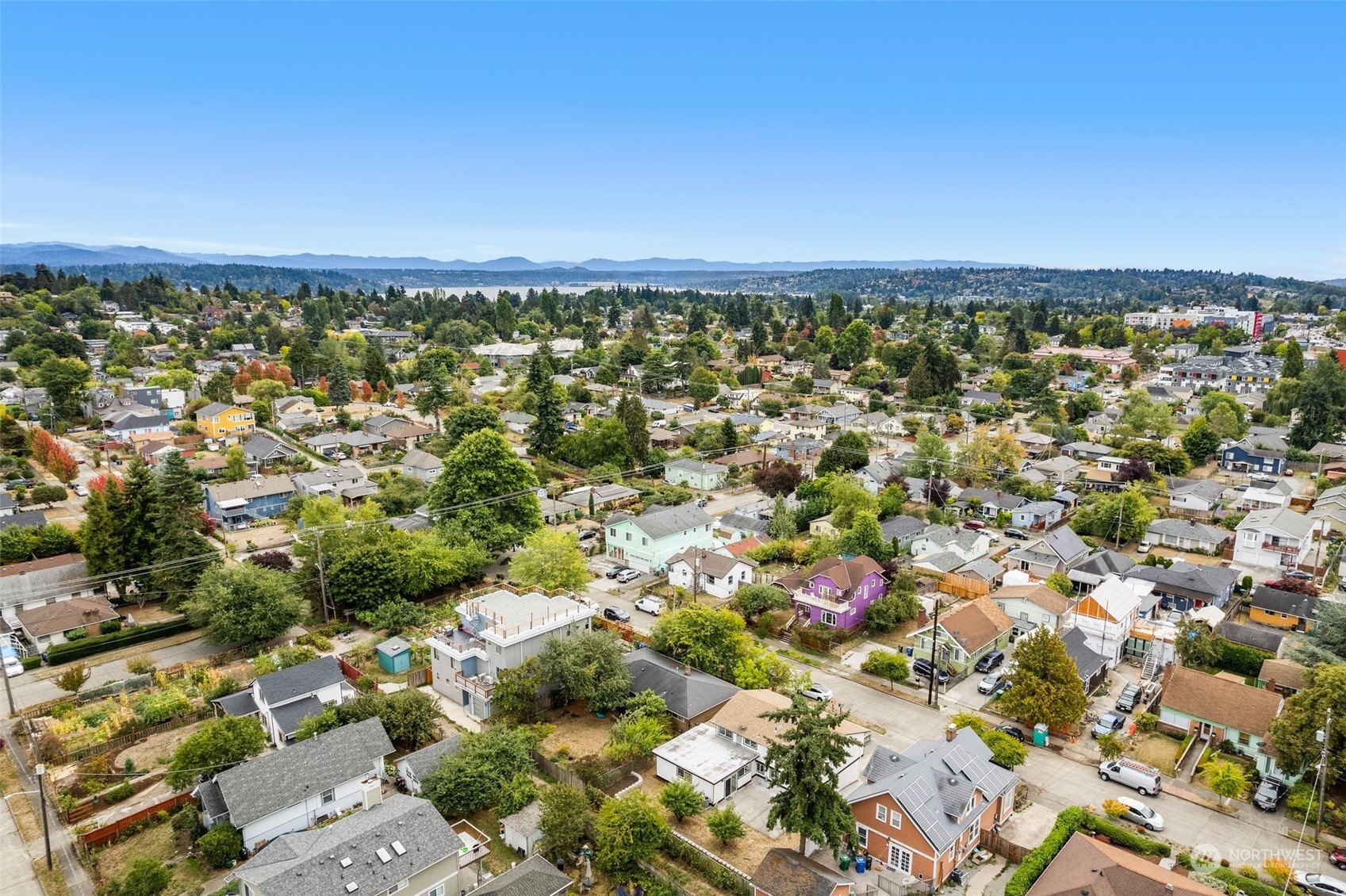 3932 South Morgan Street Seattle, WA 98118 - Photo 39 of 40 an aerial view of residential building and trees