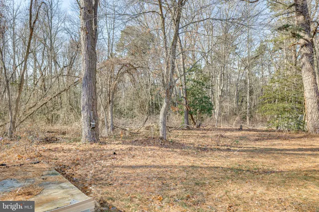 a fire hydrant in the middle of a field