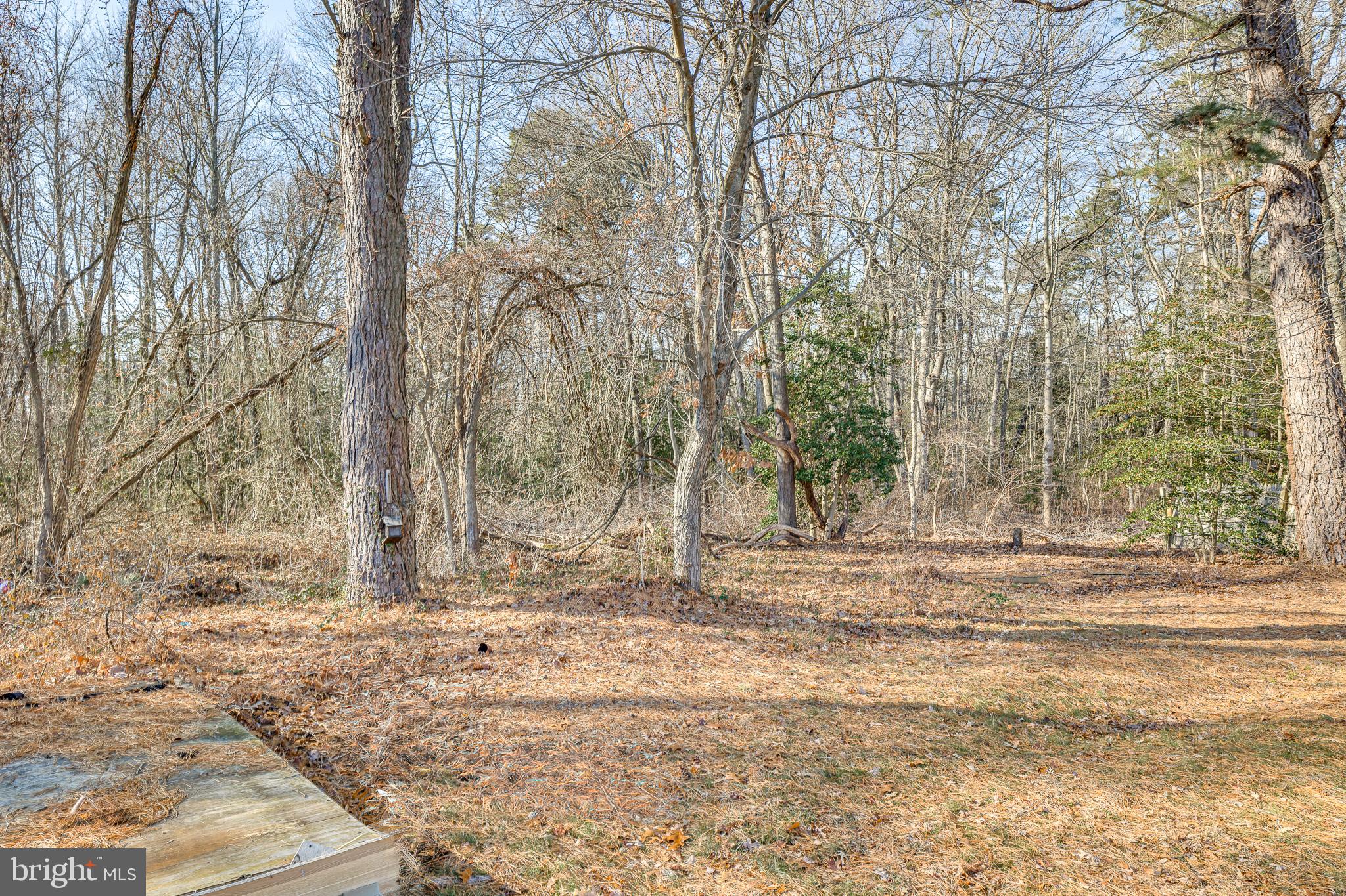 46 Lupus Lane Sewell, NJ 08080 - Photo 24 of 24