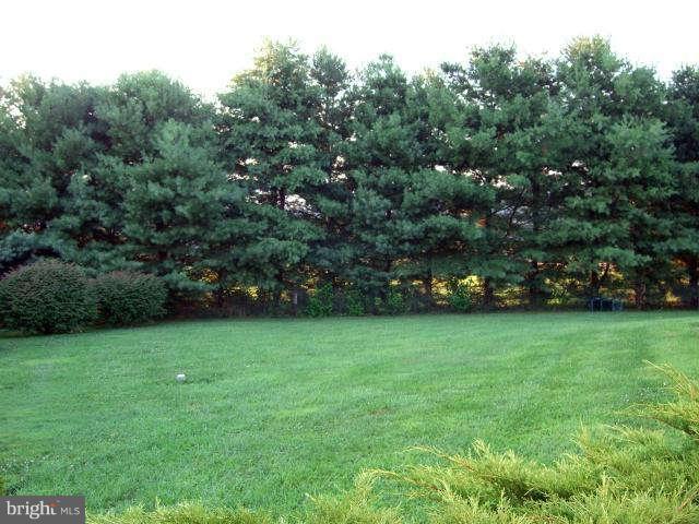 4302 Valley View Road Middletown, MD 21769 - Photo 19 of 22 Large trees provide lots of privacy