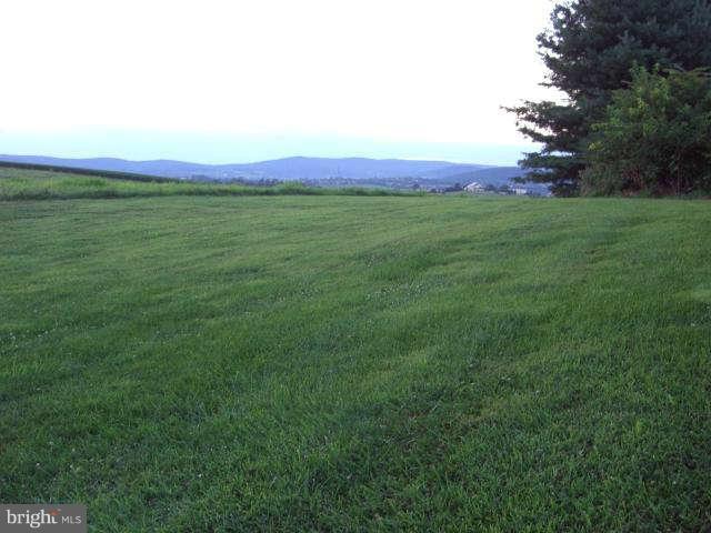 4302 Valley View Road Middletown, MD 21769 - Photo 20 of 22 More scenic views from backyard