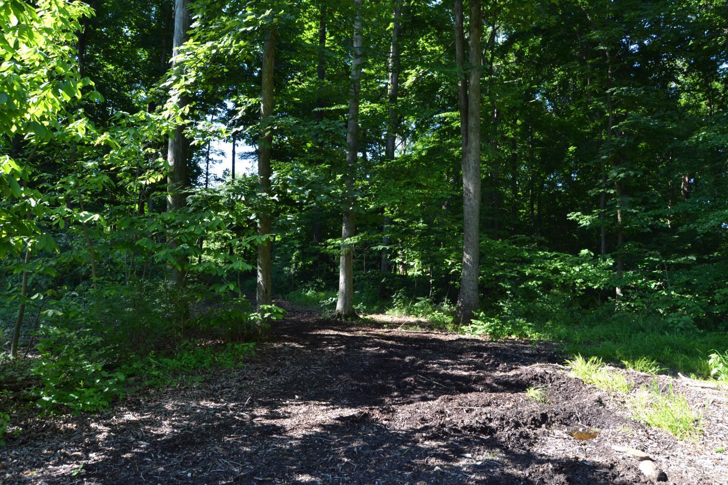 Ac Case Road New Richmond, OH 45157 - Photo 12 of 19