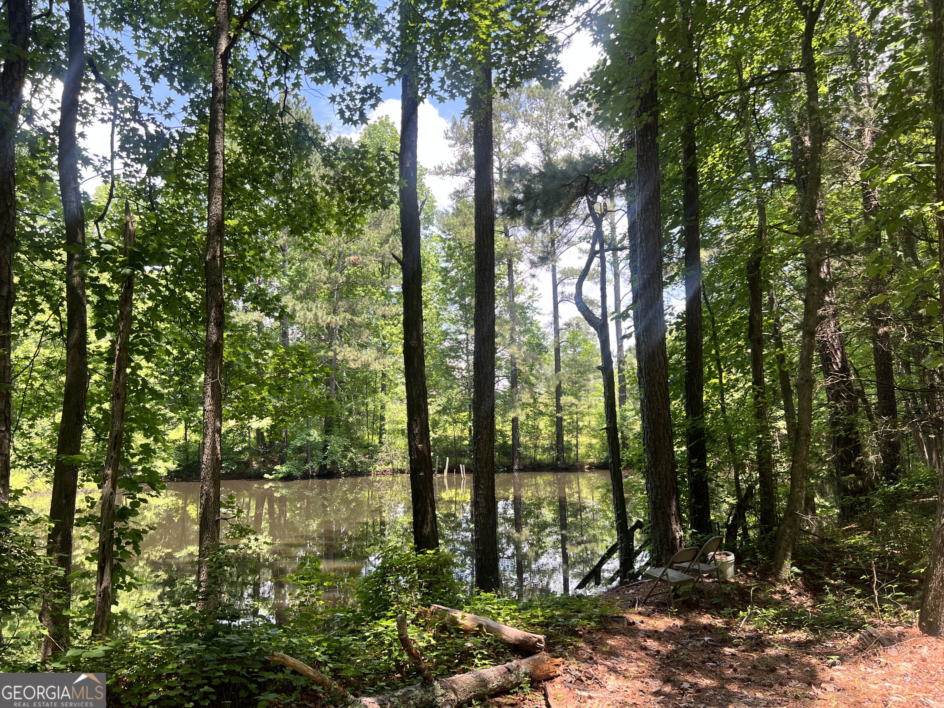 491 Thurman Road, Unit TRACT C Stockbridge, GA 30281 - Photo 5 of 18 a view of lake from a tree