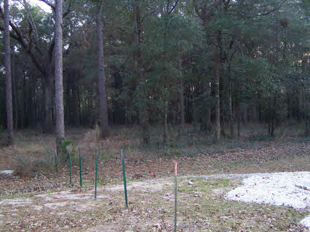 0 Douglas Road Daphne, AL 36526 - Photo 1 of 1