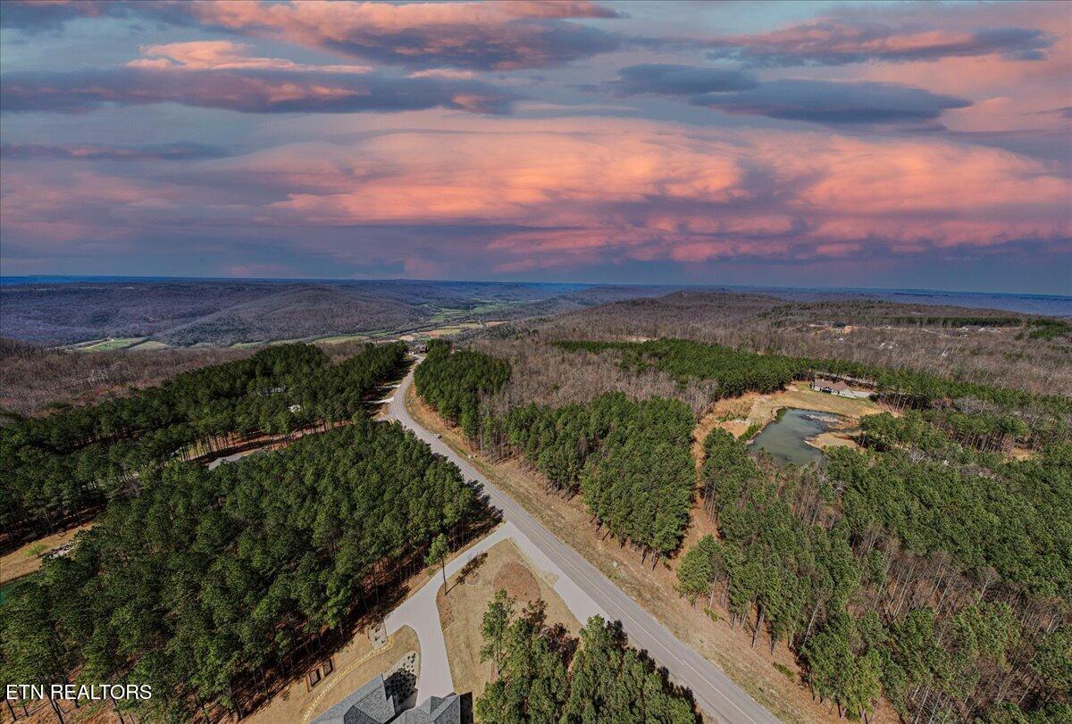 Waterwheel Way, Unit 342 Jasper, TN 37347 - Photo 2 of 9 01-DJI_0489-Edit copy (2)